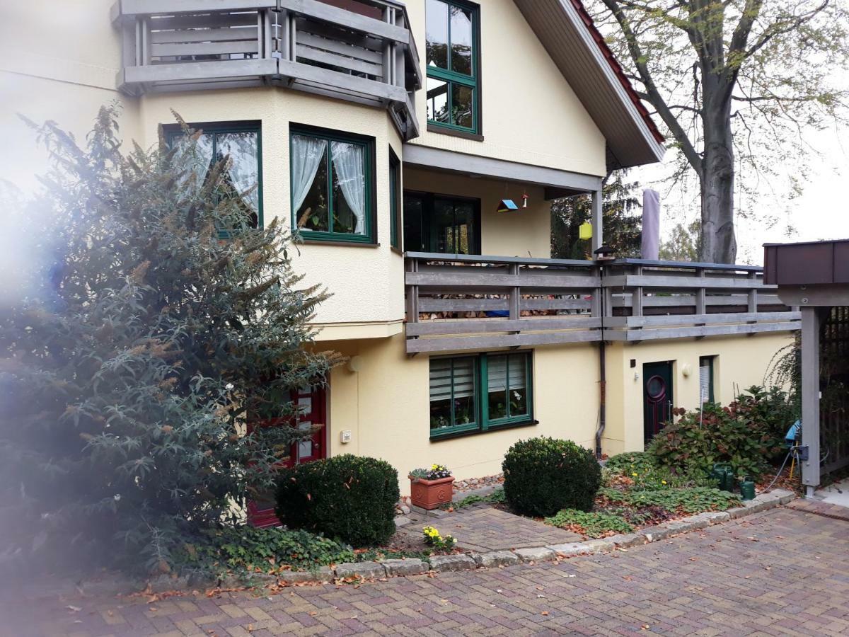 Ferienwohnung Oberloschwitz Dresden Ngoại thất bức ảnh