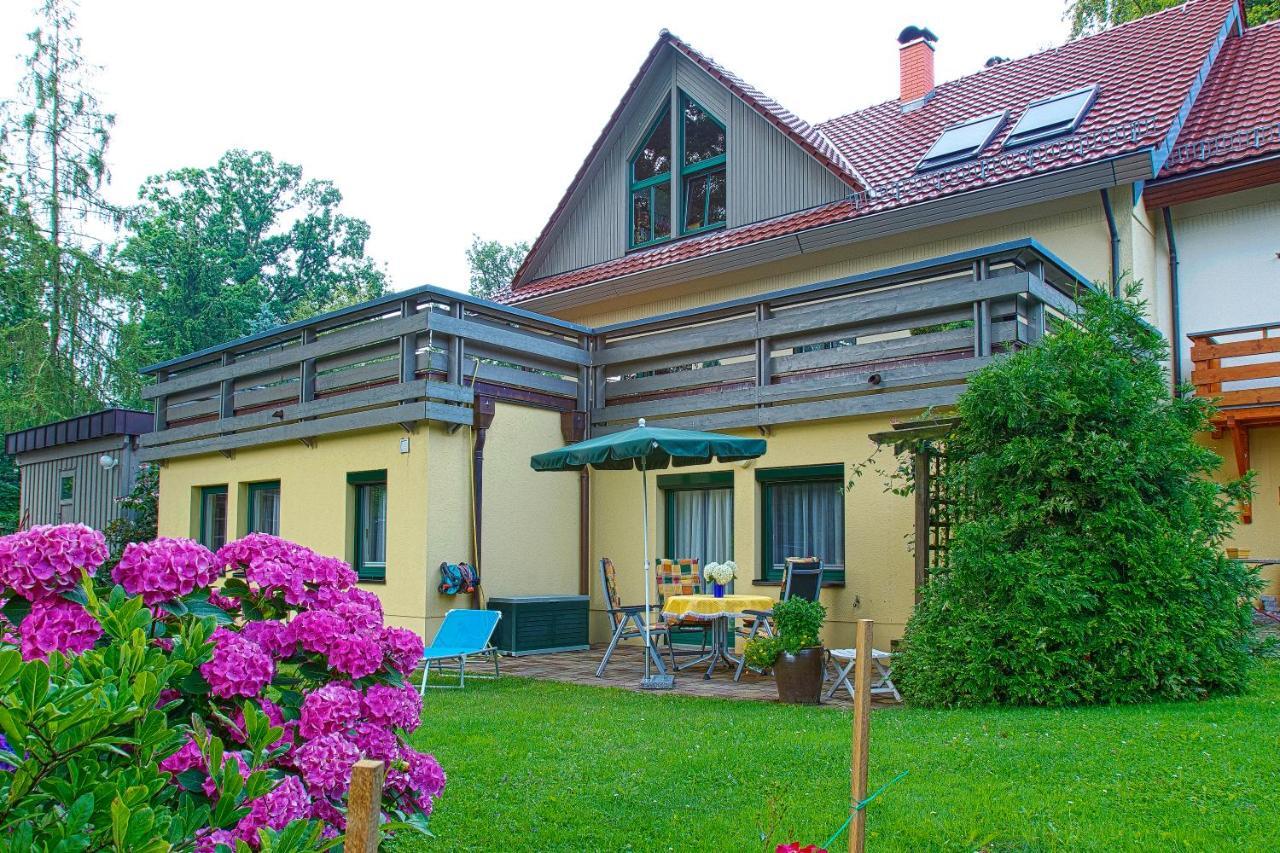 Ferienwohnung Oberloschwitz Dresden Ngoại thất bức ảnh